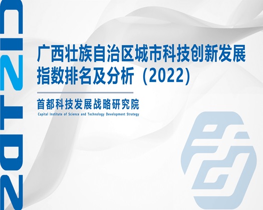 草逼喷水网站【成果发布】广西壮族自治区城市科技创新发展指数排名及分析（2022）